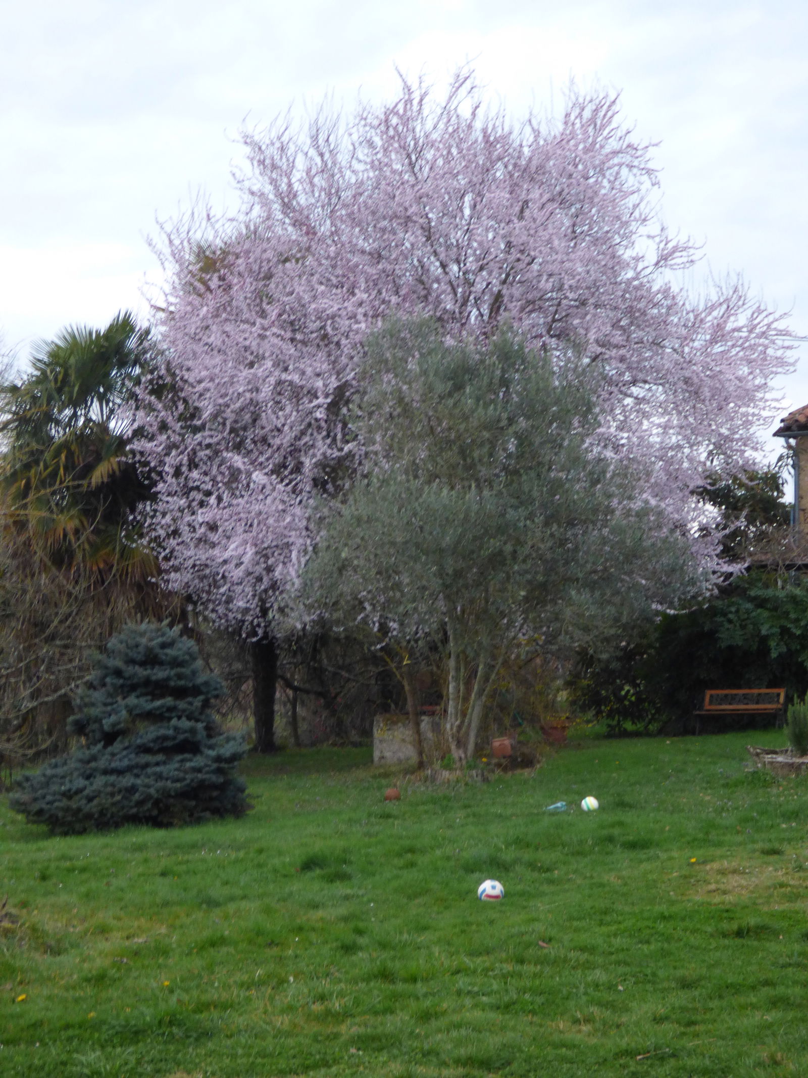 Bed And Breakfast Occitanie 171551