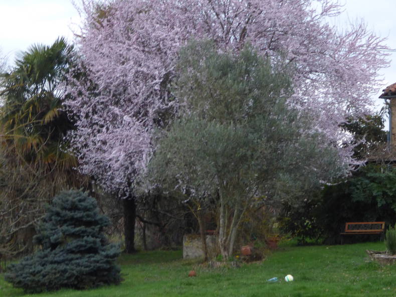 Chambres D'hôtes Occitanie 171551-5