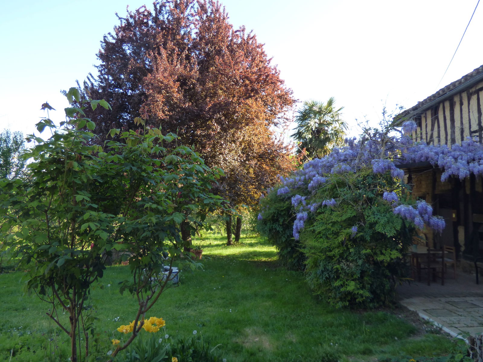 Bed And Breakfast Occitanie 171551