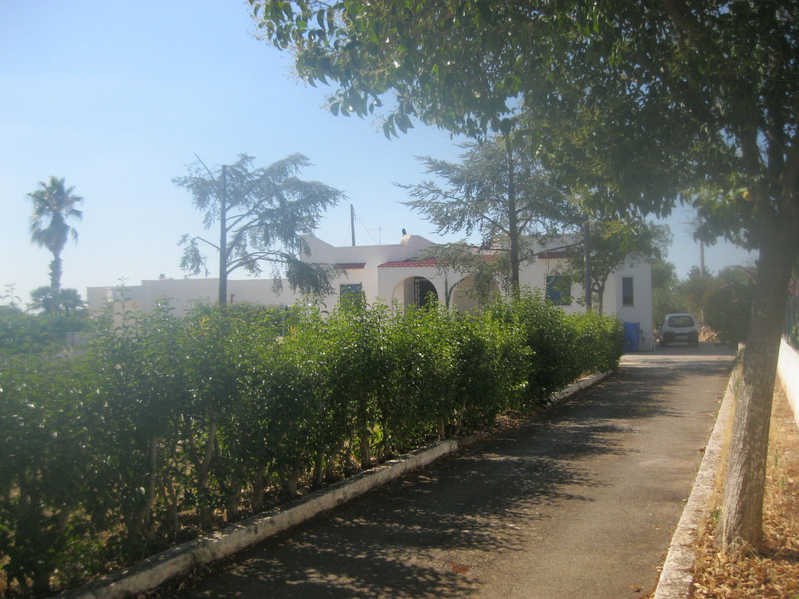 Homestay Provincia di Brindisi 250551