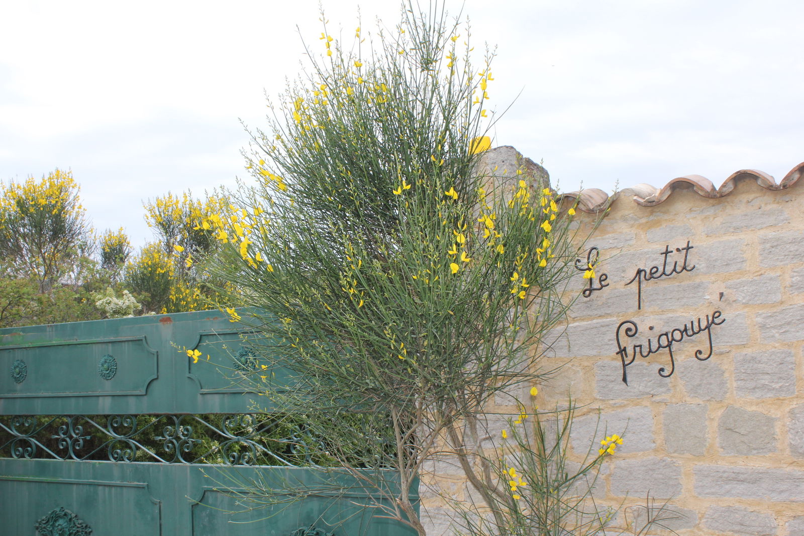 Bed And Breakfast Saze 166345