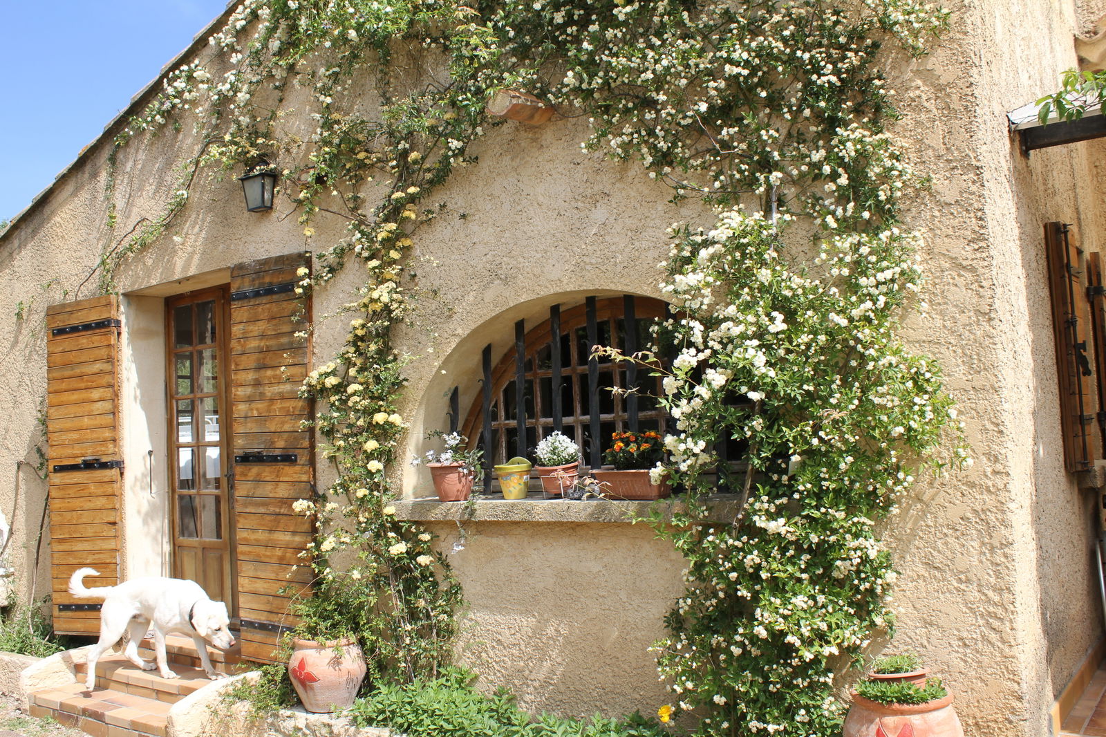 Bed And Breakfast Saze 166345