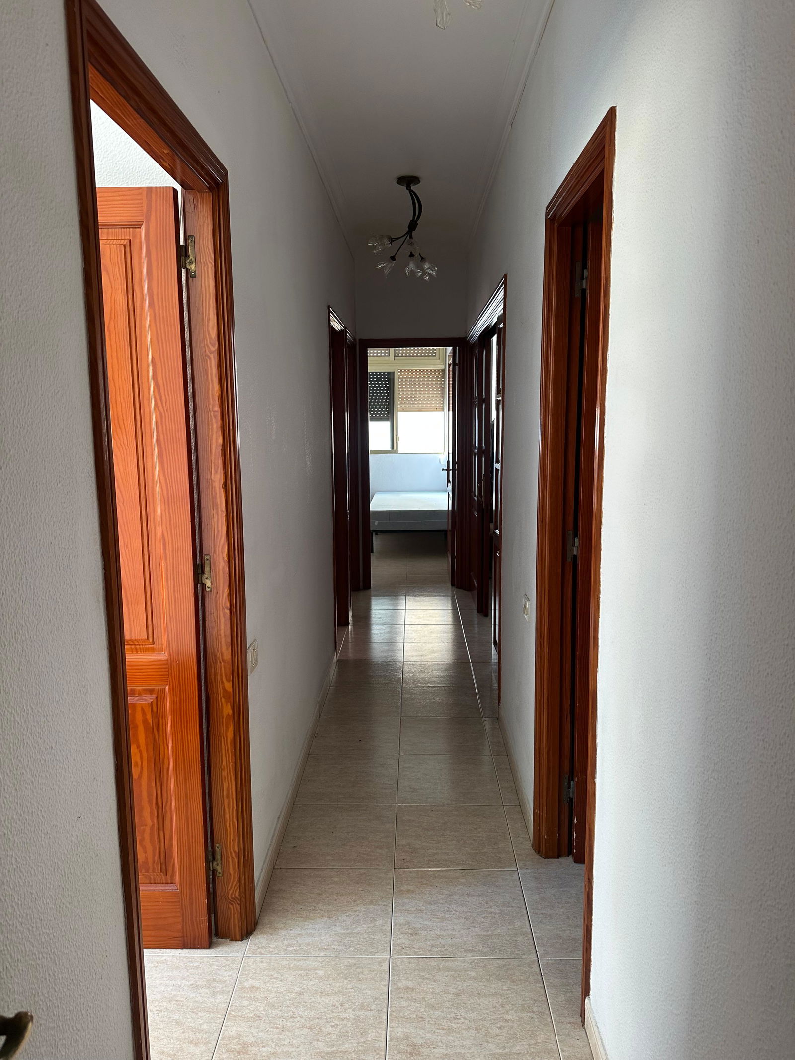 Homestay Las Palmas de Gran Canaria 646230