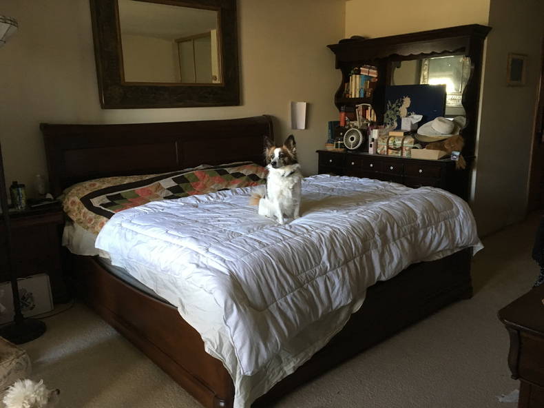 Gastfamilie Fairfield 207400-2