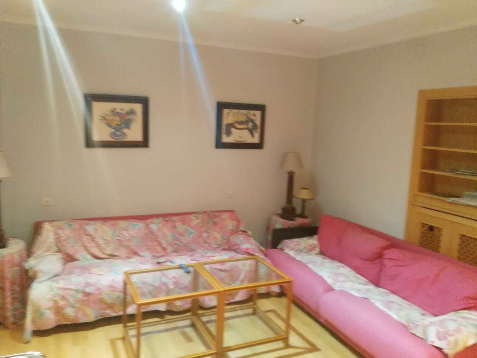Colocation Asunción 96131