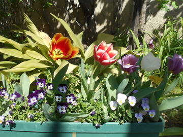 Chambre D'hôte Donzère 108311-9