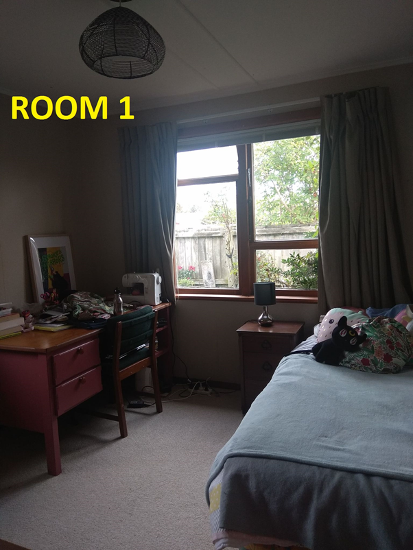 Homestay Christchurch 248075