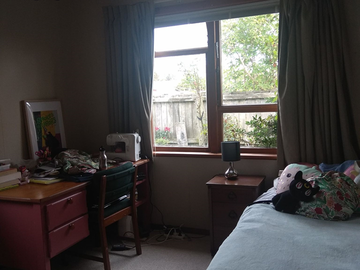 Room For Rent Christchurch 248075