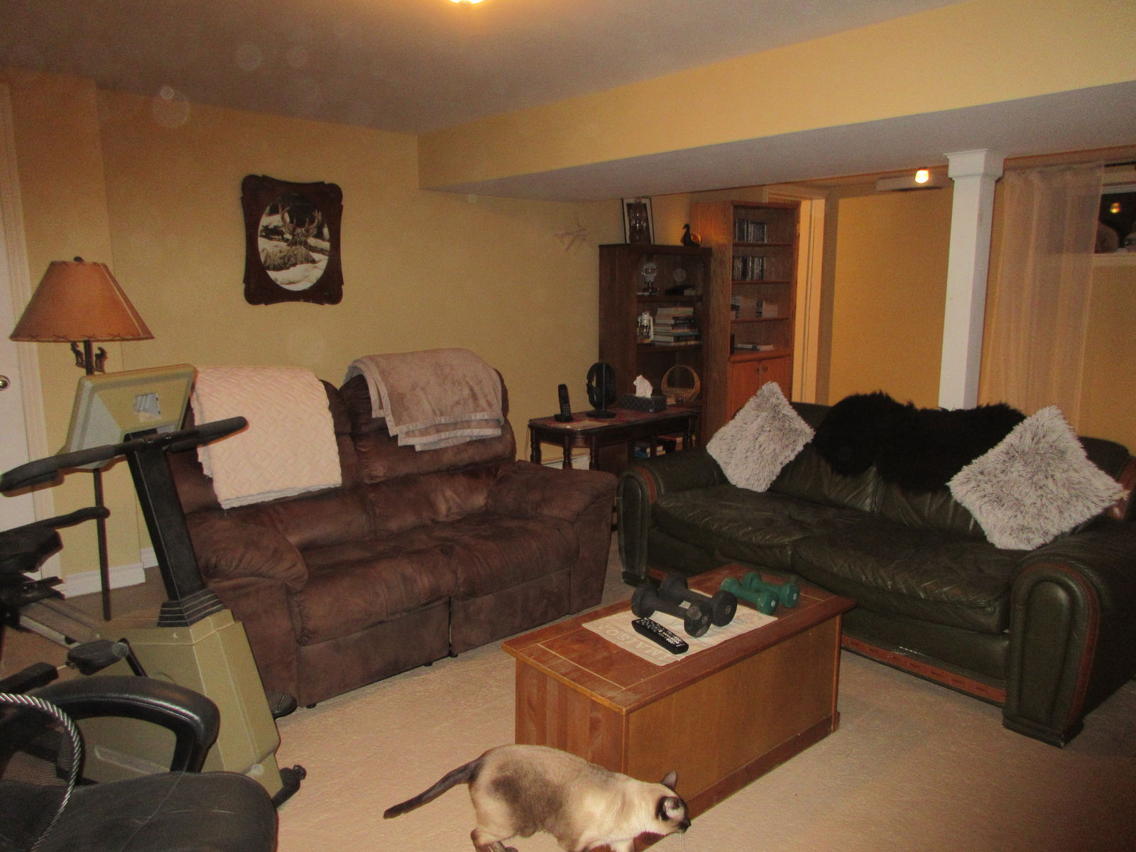 Homestay Dixville 298617