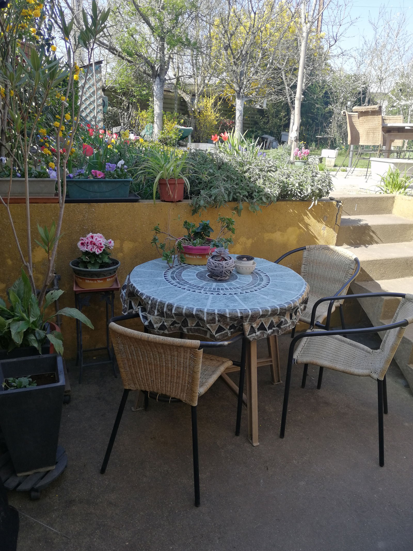 Homestay Le Mans 352731