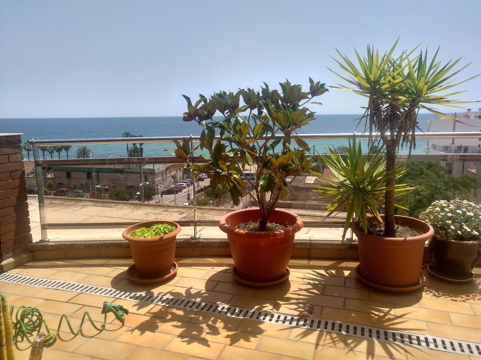 Homestay Badalona 225253