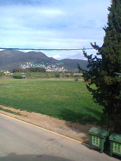 Estúdio Independente Roses 131082