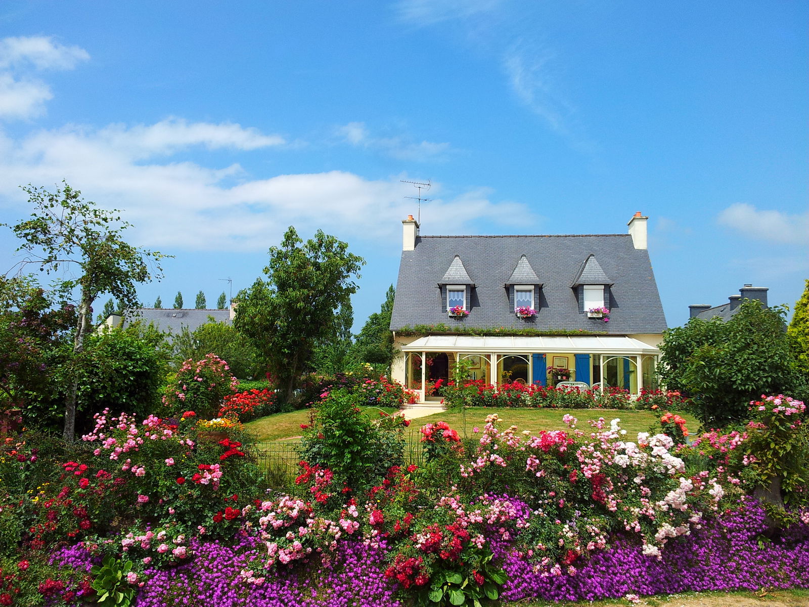 Bed And Breakfast Lannion 23008