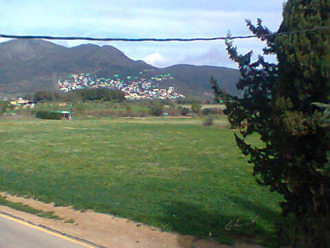 Entire Home Roses 131082-3