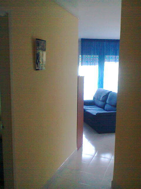 Studio Indépendant Roses 131082