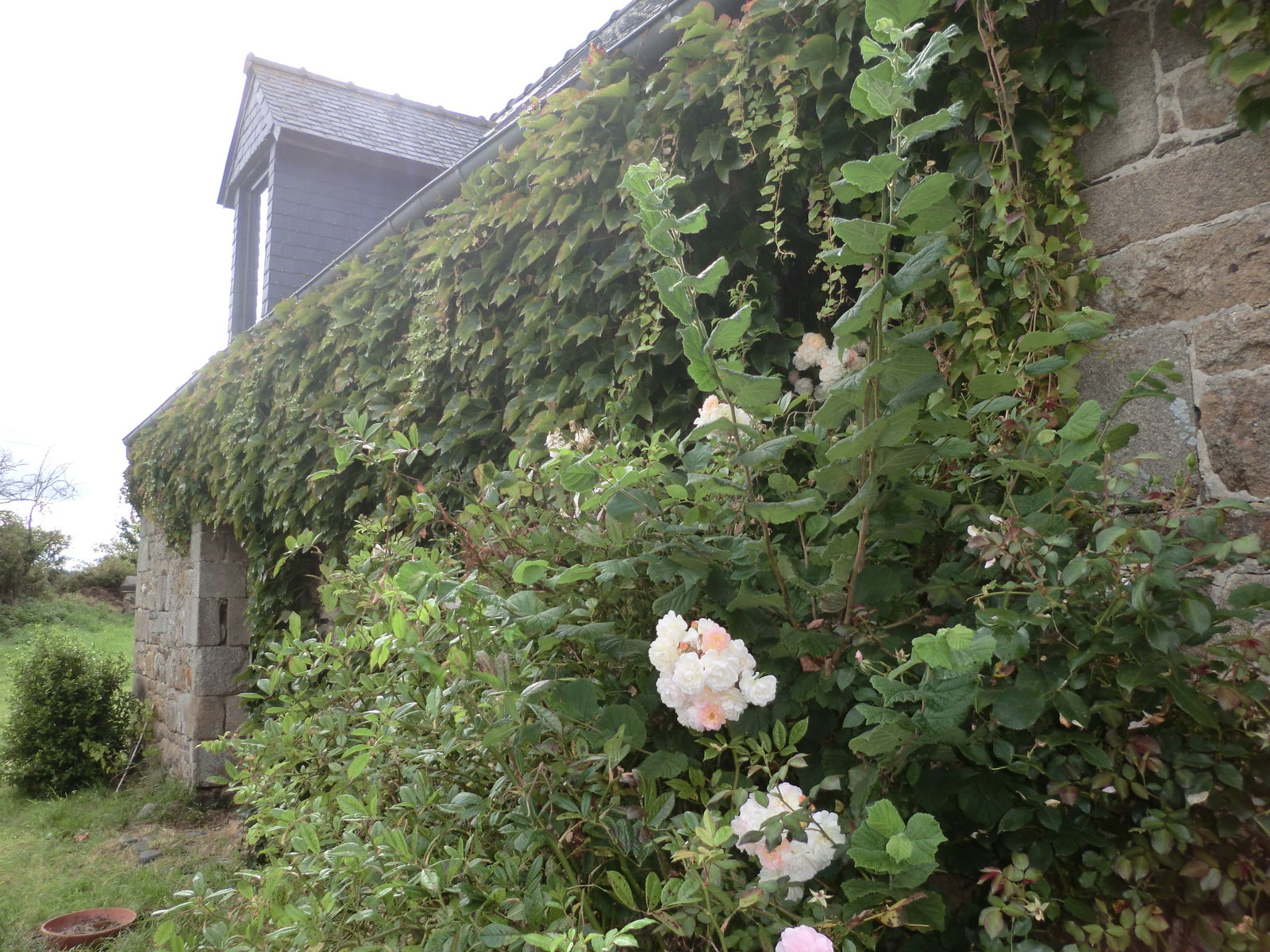 Onofhängeg Studio Saint-Michel-en-Grève 65760