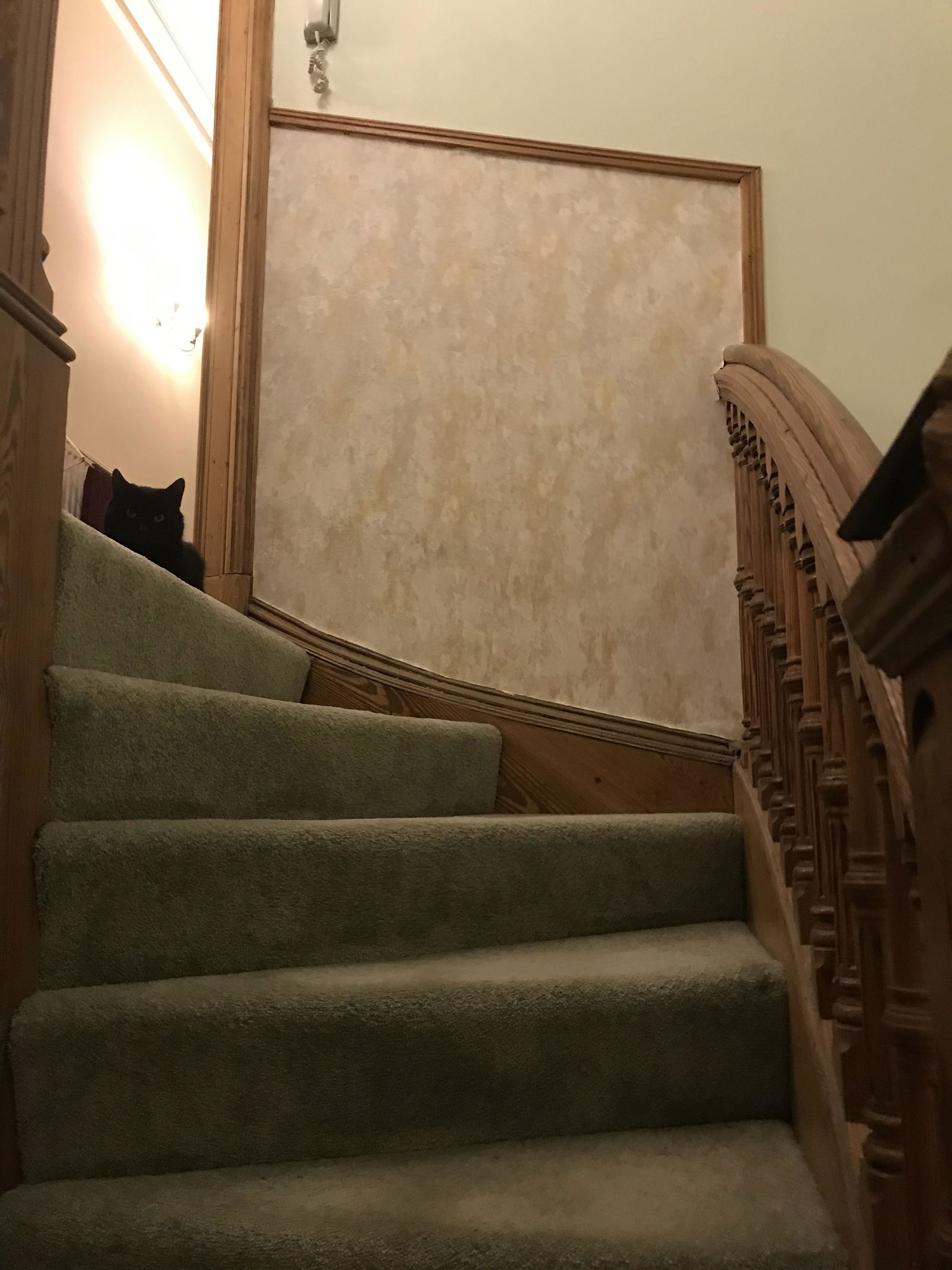 Homestay Dundee 518927