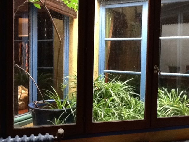 Homestay Montpellier 41174