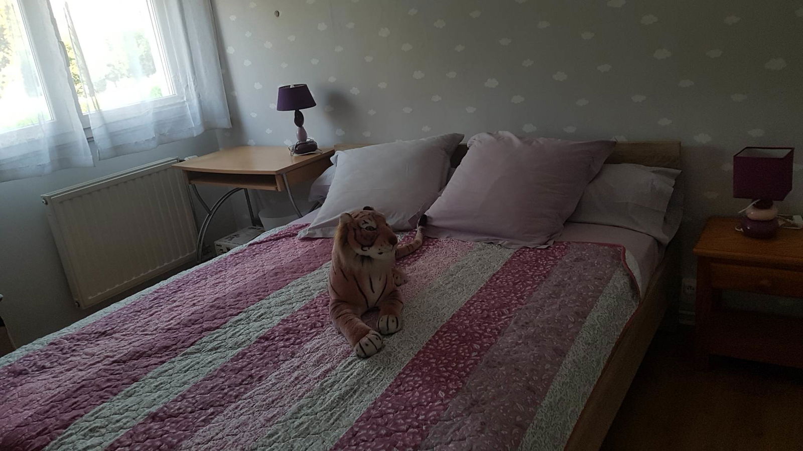 Homestay Décines-Charpieu 515000