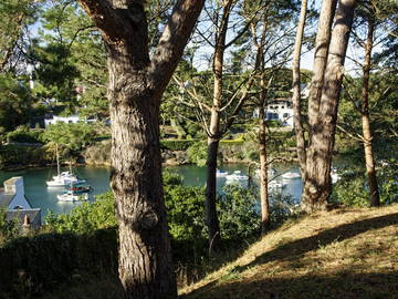 Chambre d'hôte à louer à Clohars-Carnoët - autre pièce-6