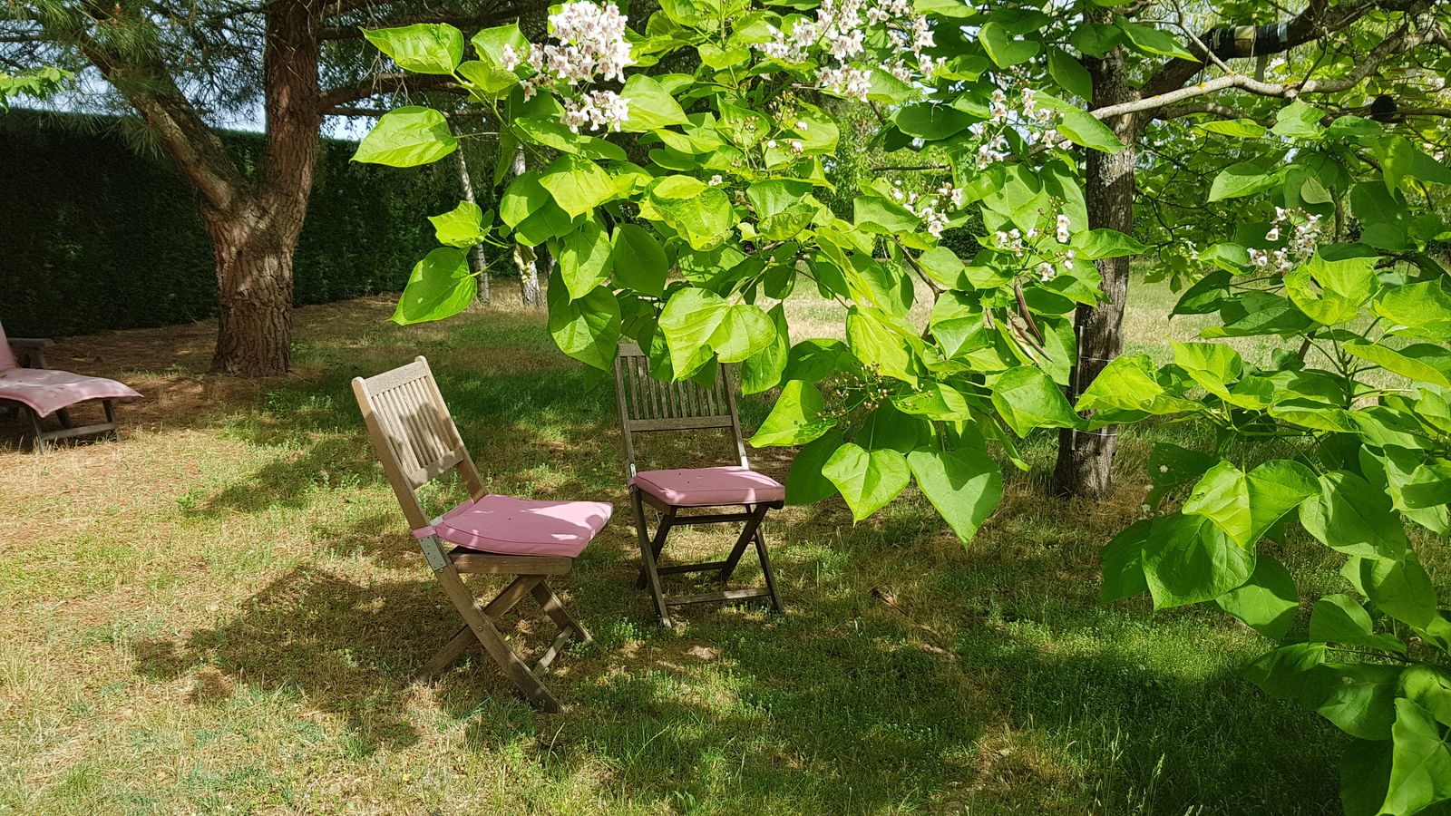 Homestay Vineuil 433289