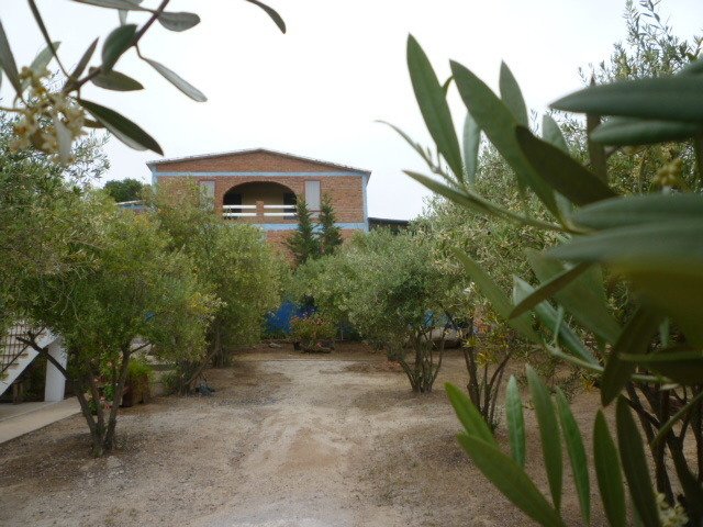Chambre Chez L'habitant Playa Ensenada 31009
