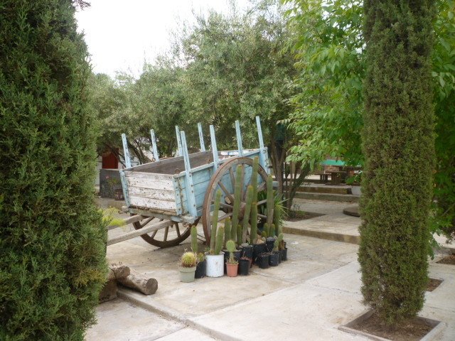 Chambre Chez L'habitant Playa Ensenada 31009