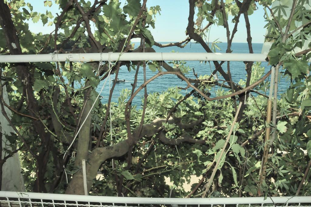 Toda La Casa Sveti Križ, Mala Subotica 223680