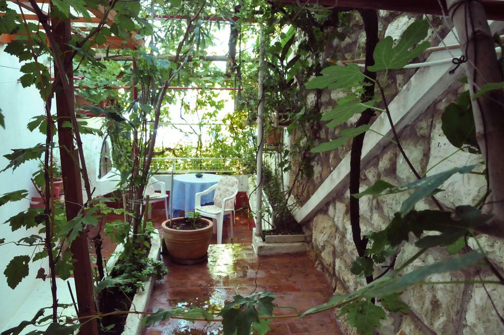 Toda La Casa Sveti Križ, Mala Subotica 223680