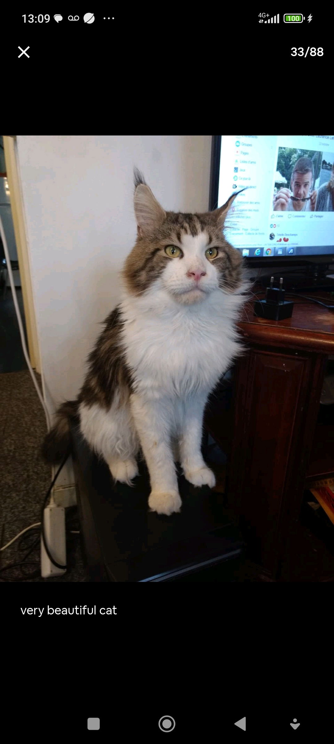 Gastfamilie Ivry-sur-Seine 339543