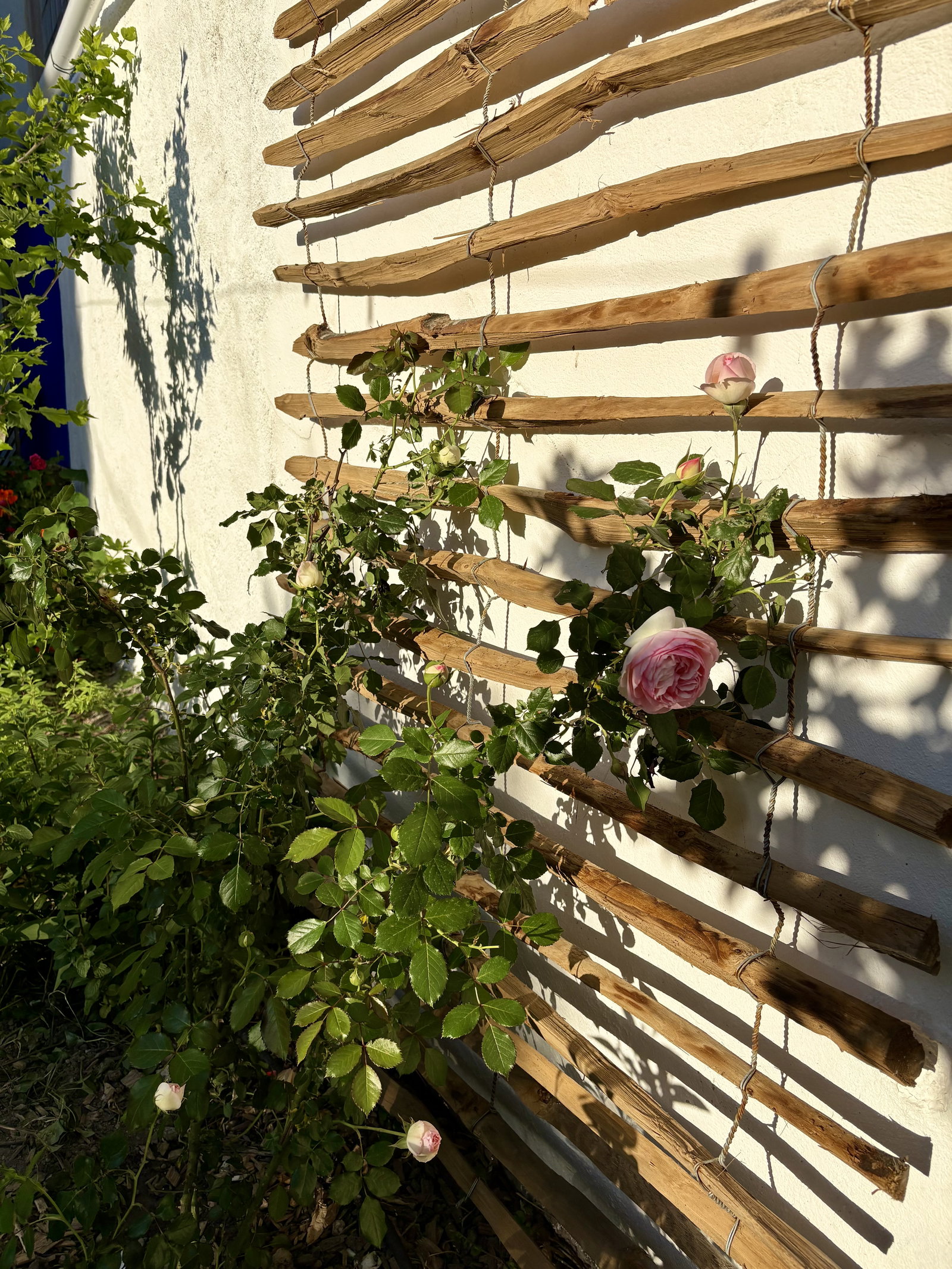 Ganzes Haus Marseille 427994