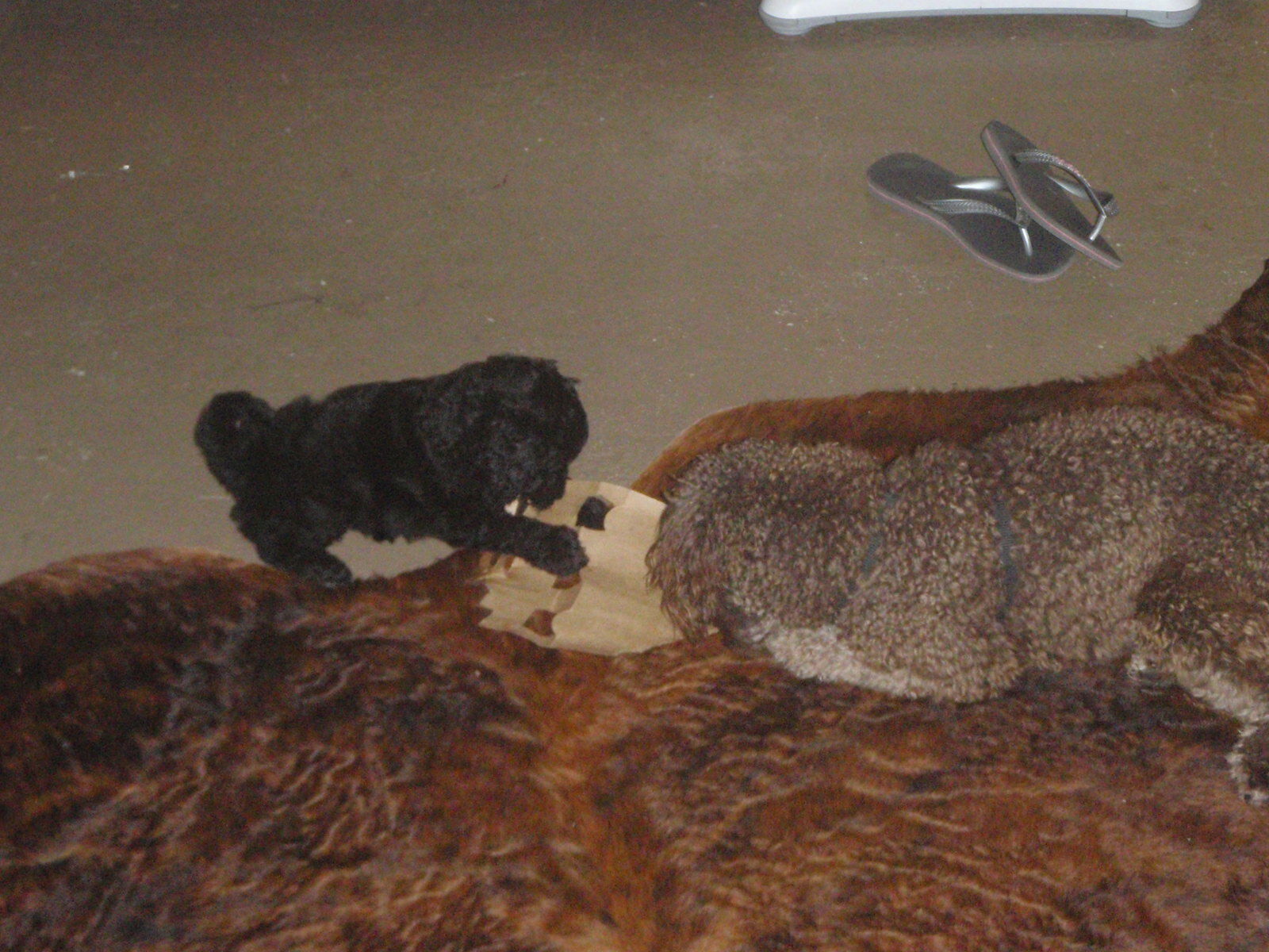 Gastfamilie Alderley 117236