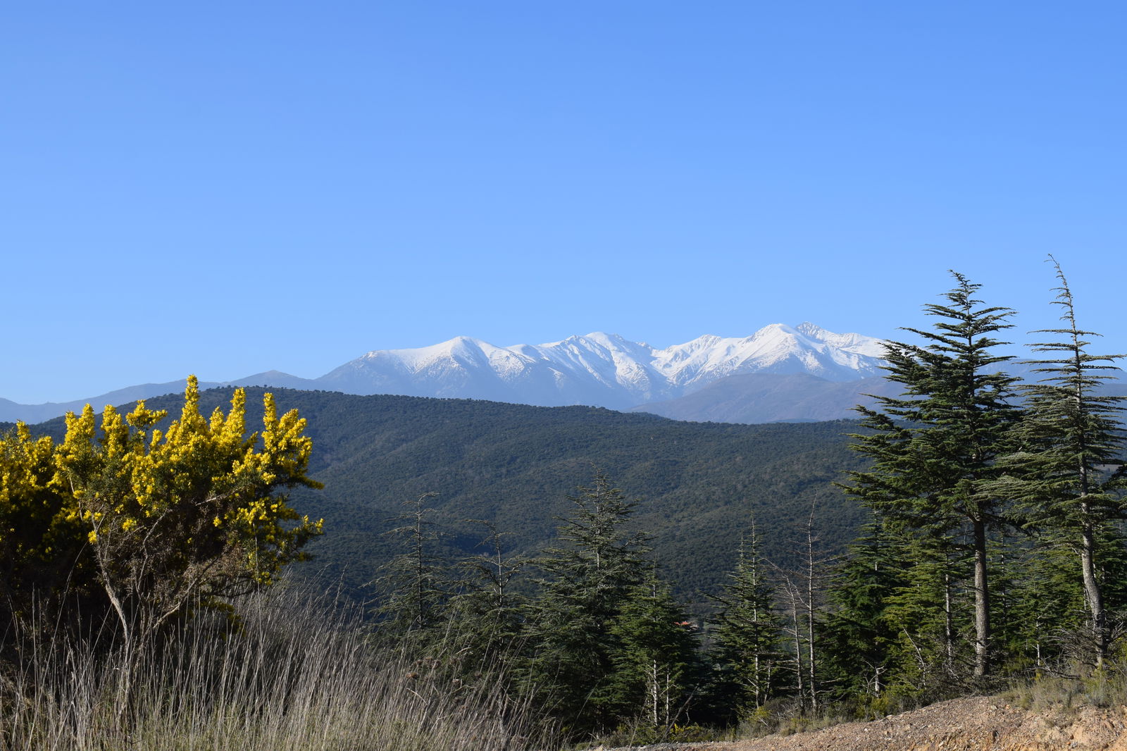 Gastfamilie Corbère-les-Cabanes 265071