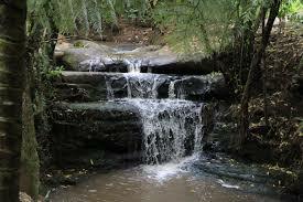 Gastfamilie Auckland 118314