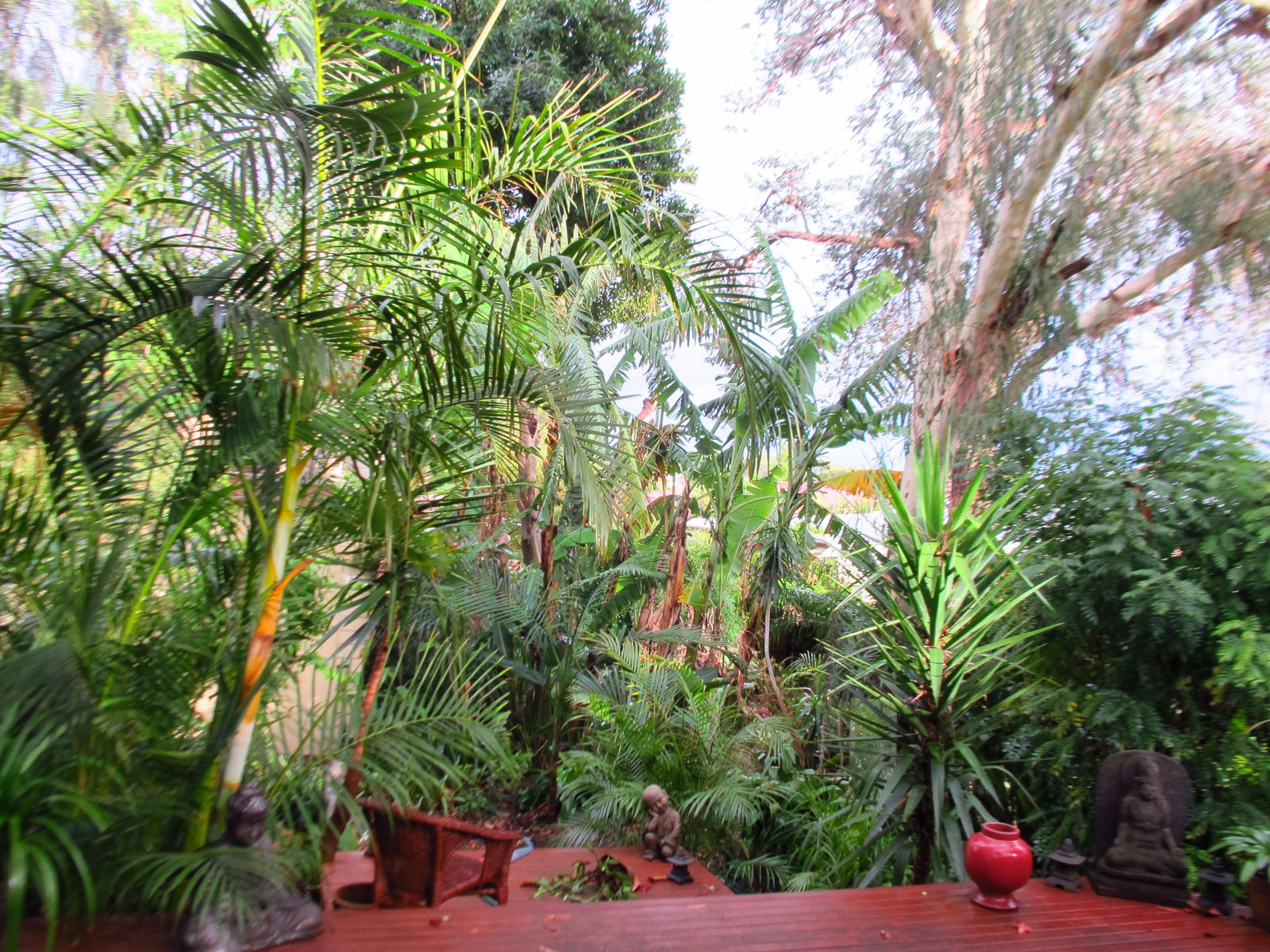 Gastfamilie Dulwich Hill 124724