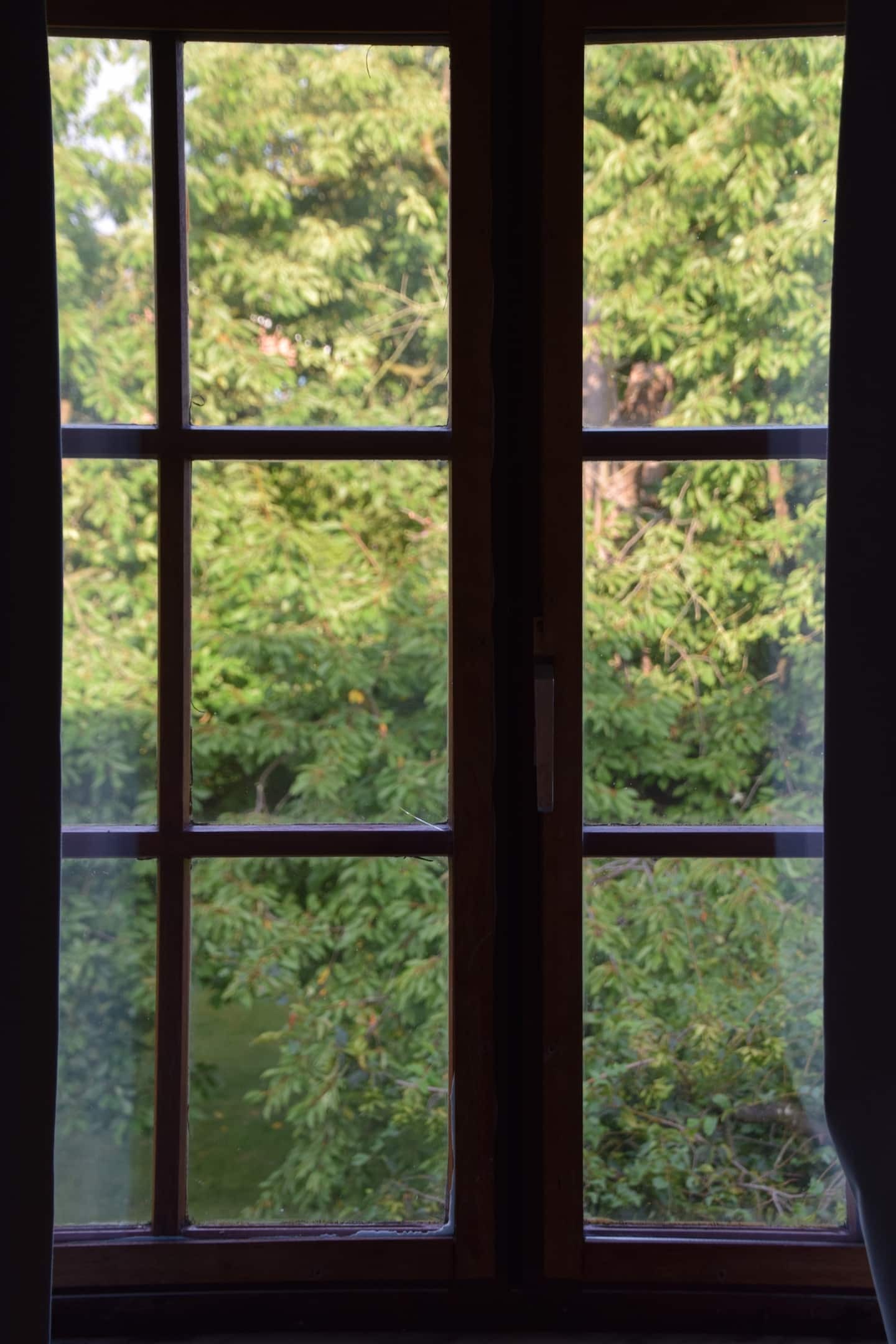 Kolokation Wavre 254145