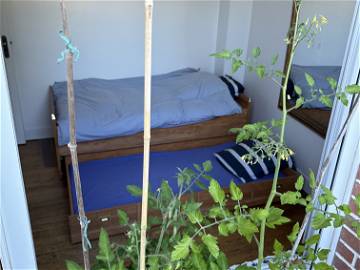 Roomlala | Ruhiges und privates Zimmer auf der Terrasse
