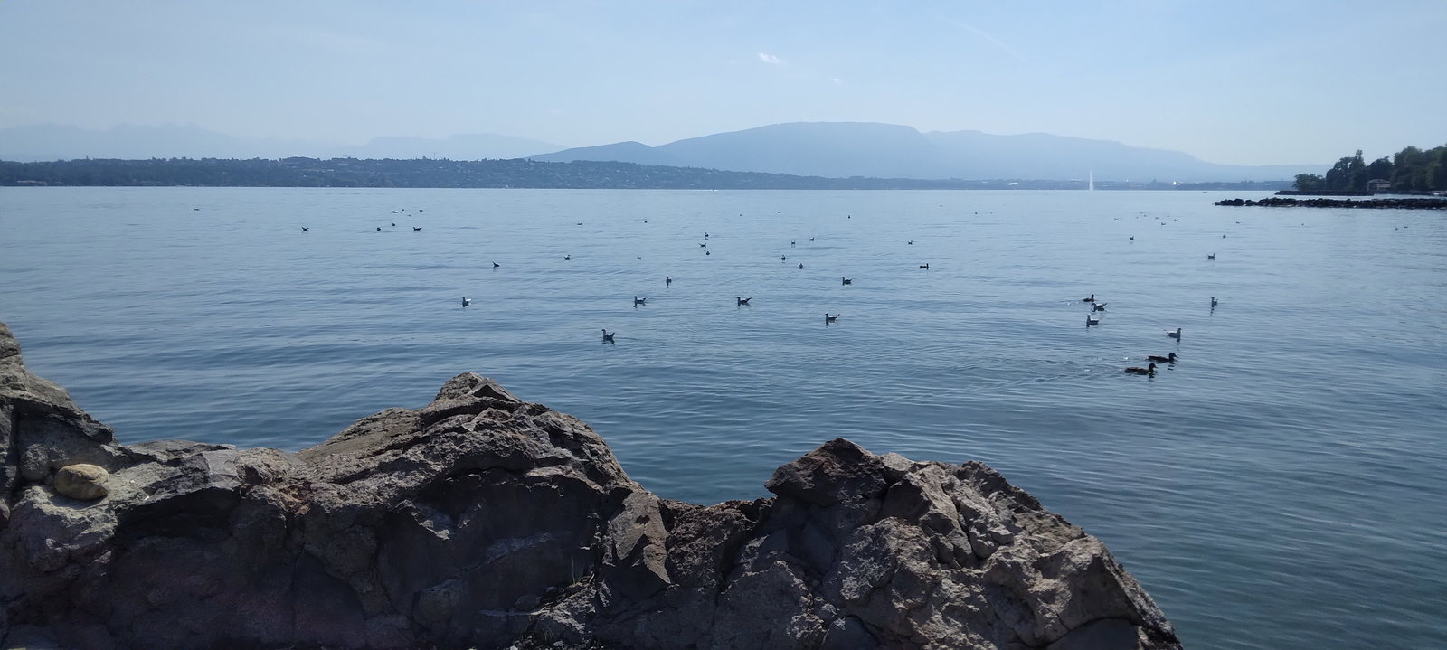 Gastfamilie Ornex 253115