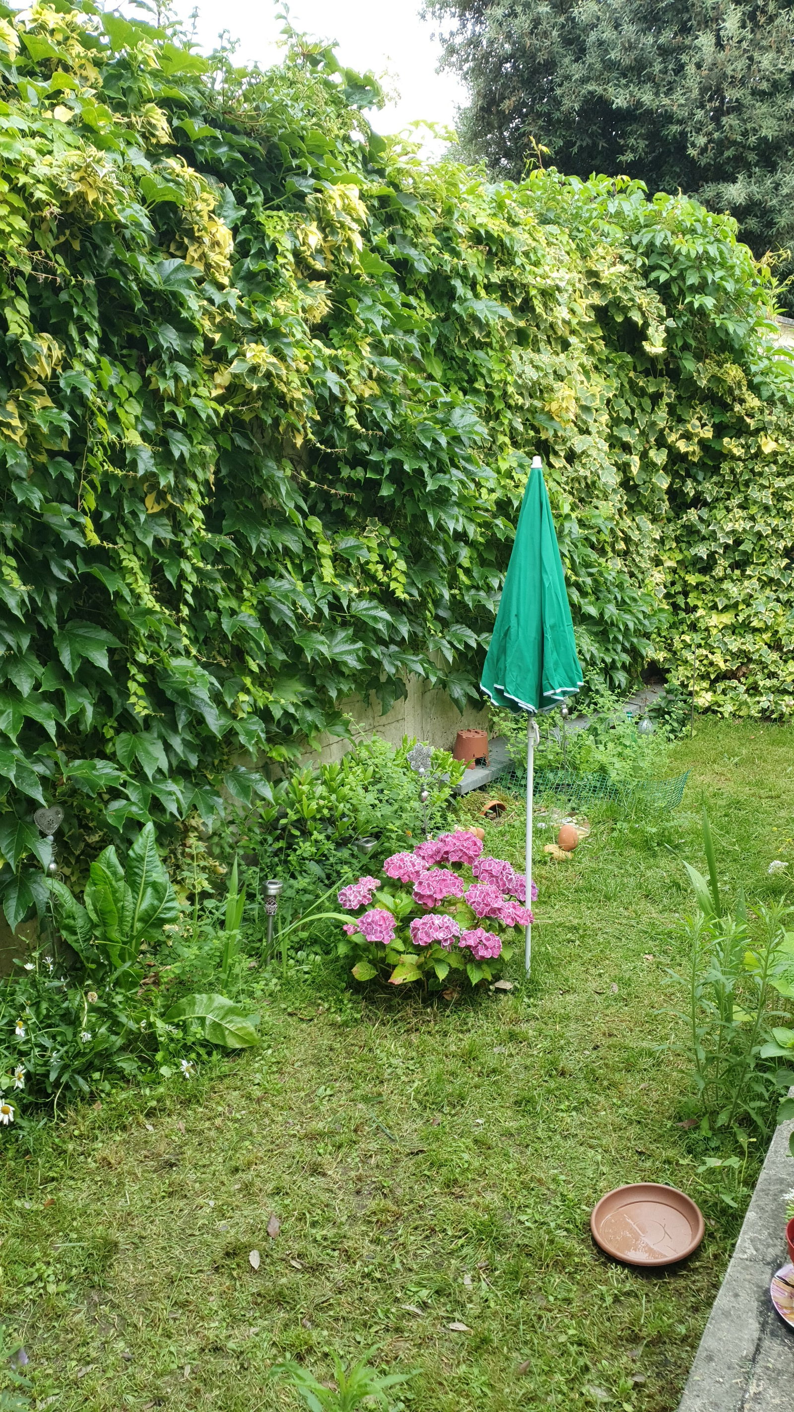 Gastfamilie Asnières-sur-Seine 232600