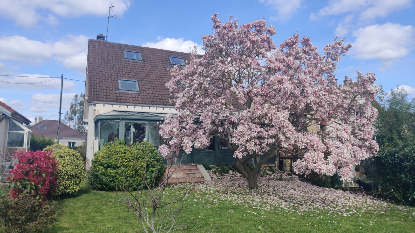 Gastfamilie Poissy 331849