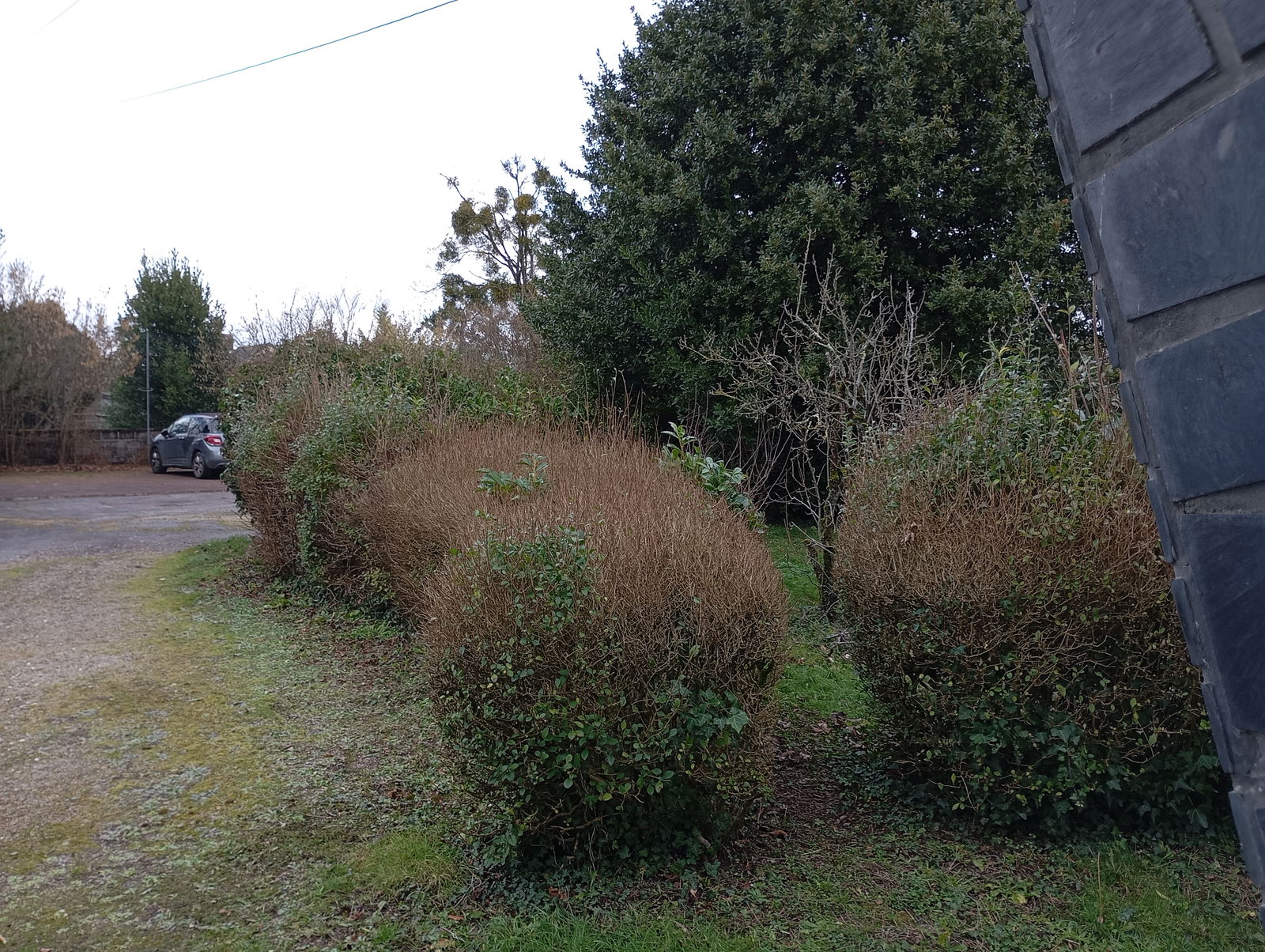 Gastfamilie Renazé 482266