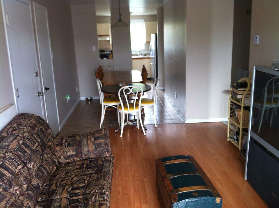 Kolokasie Lévis 115295