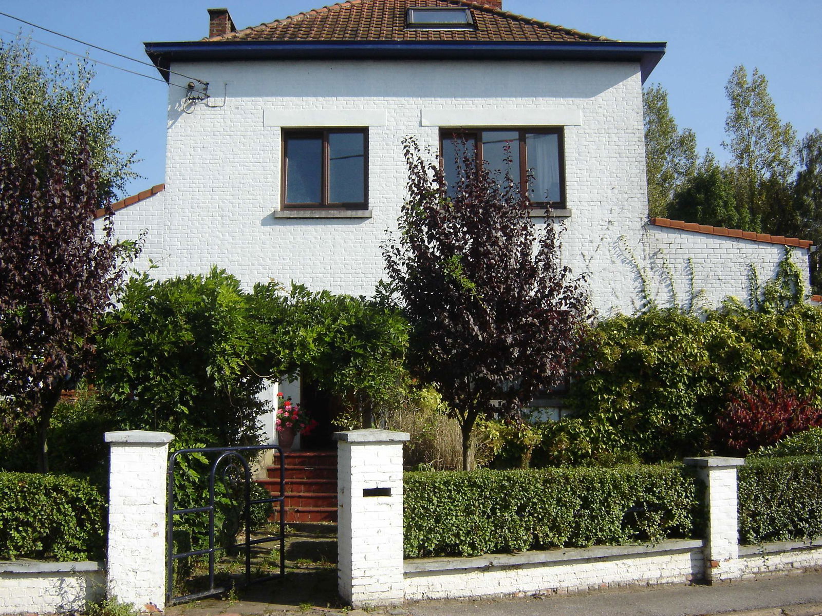 Kolokasie Court-Saint-Étienne 141336