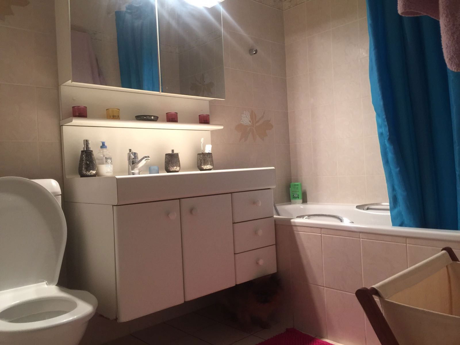 Colocatie Les Acacias 128762