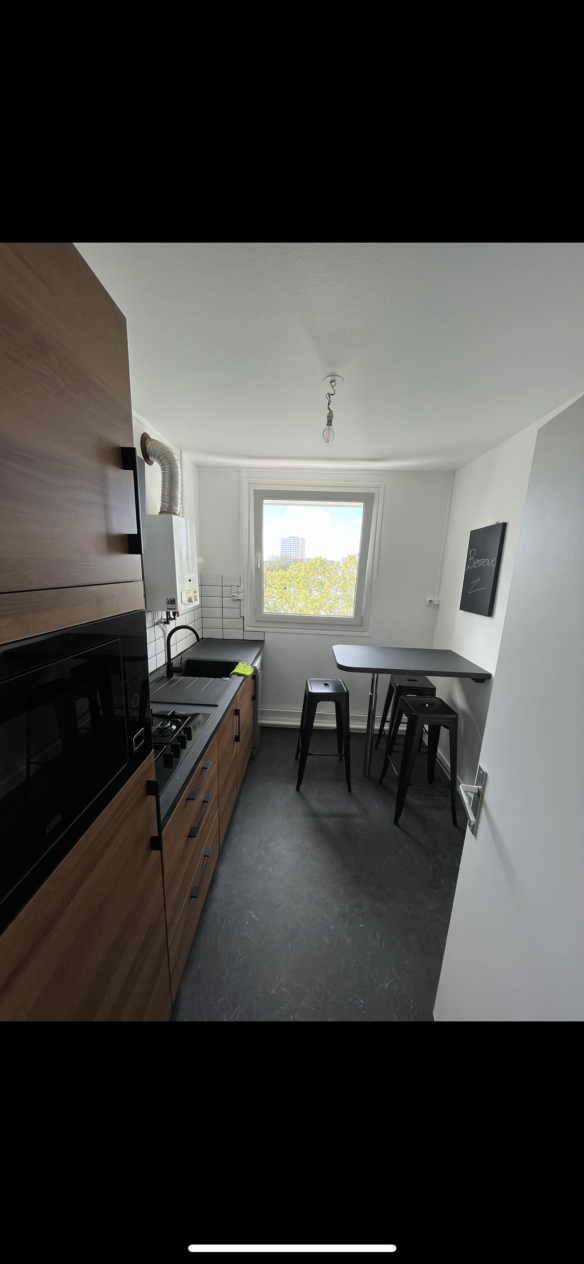 Kolokasie Brest 635348