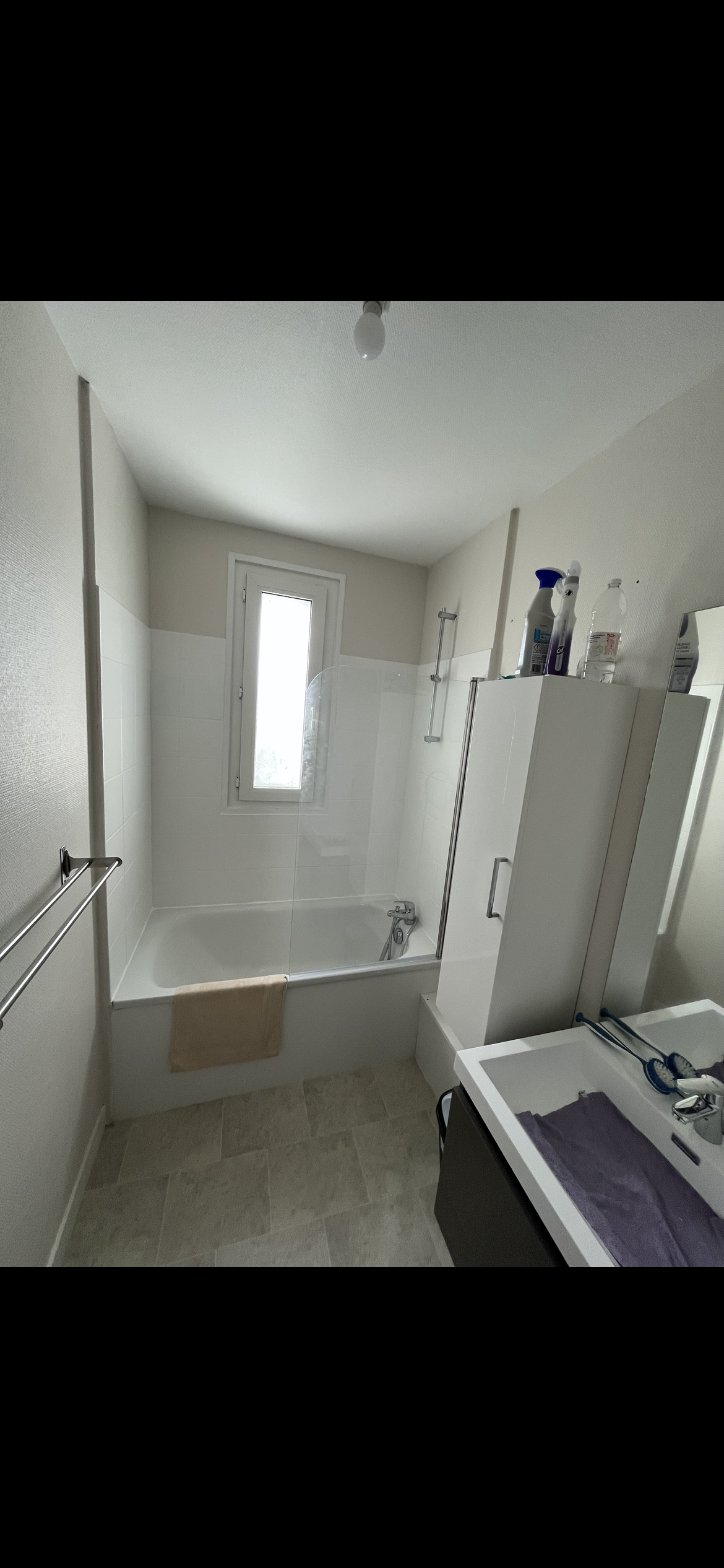 Kolokasie Brest 635348