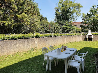 Kolokasie Castres 439963