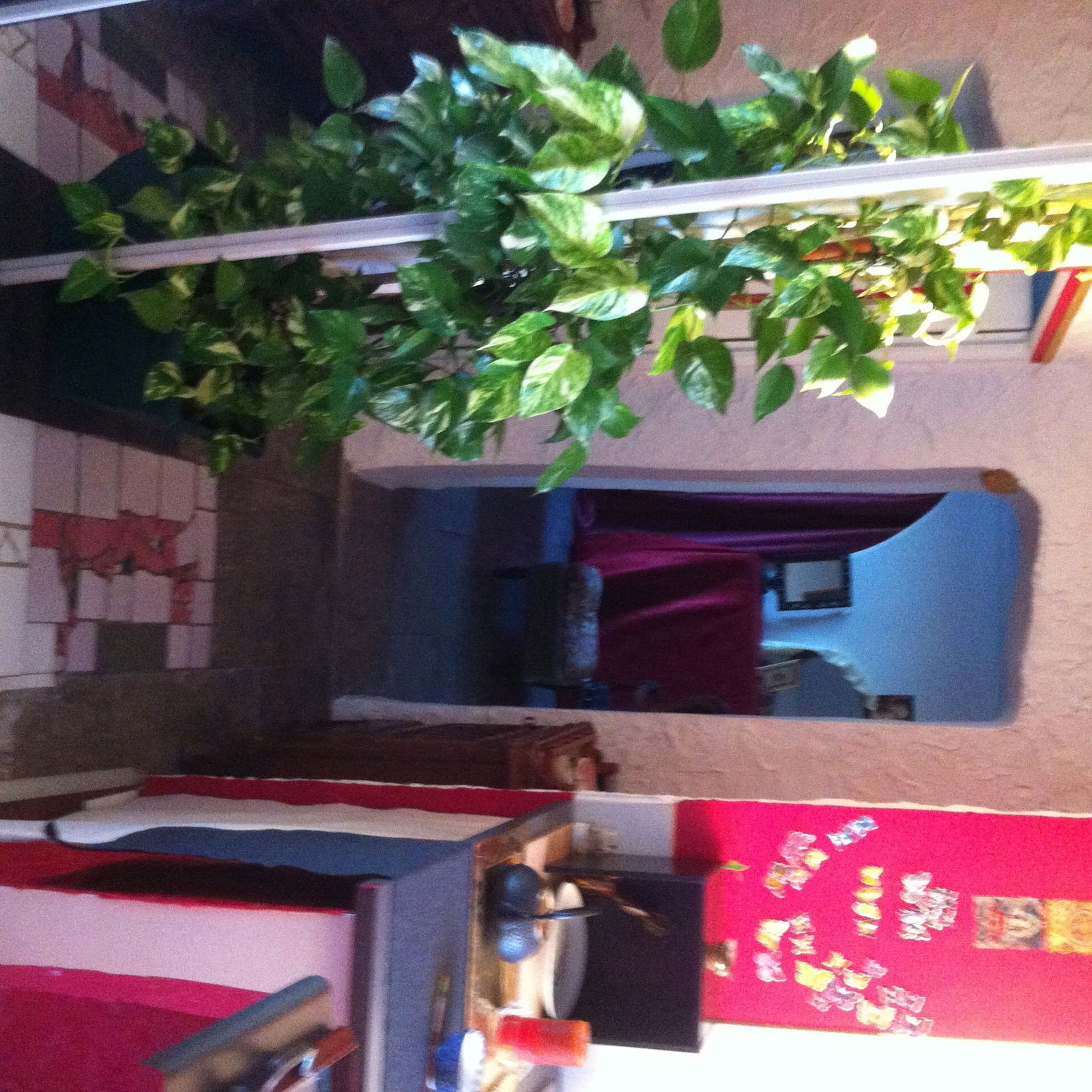 Tuisverblyf Montpellier 61998