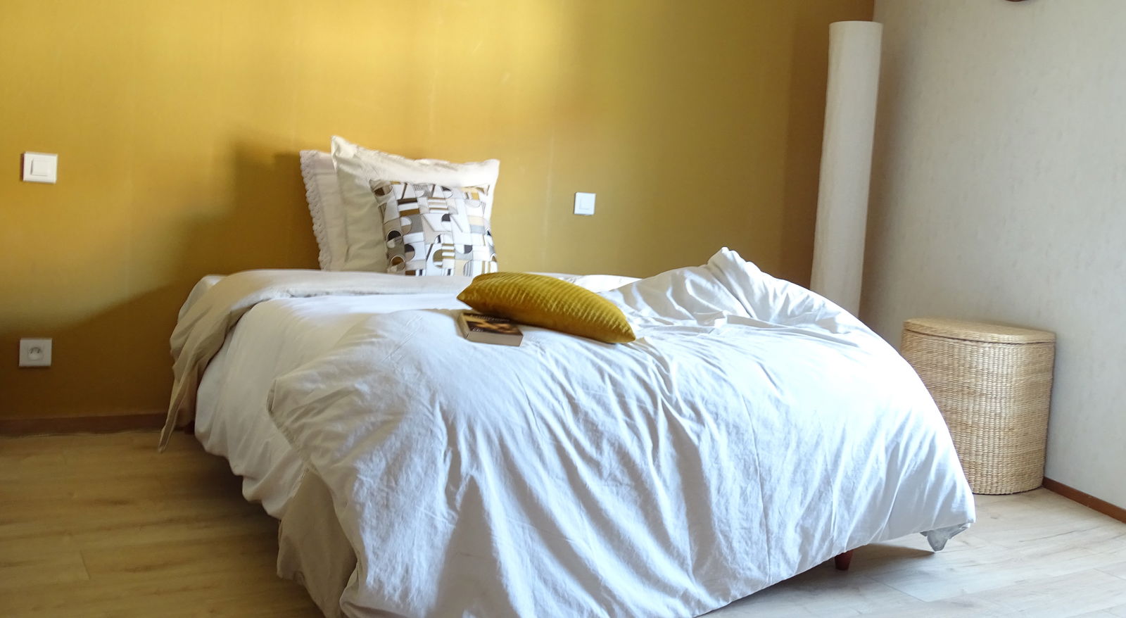 Kolokasie Porte-de-Savoie 367603