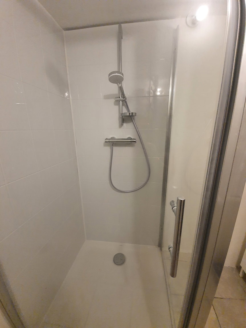 Kolokasie Castres 439959